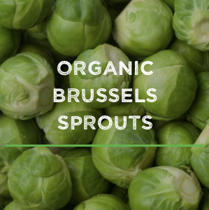 TITLE LINK - Brussels Sprouts